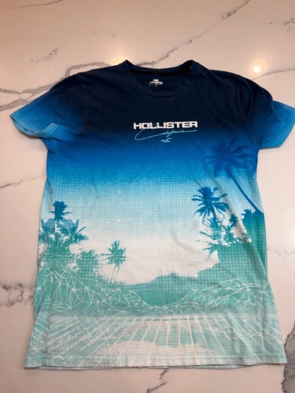 Hollister Ombre Palm Tree Graphic T-Shirt S